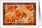 Portuguese Wedding Anniversary, Light Orange Roses card