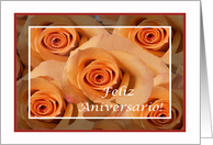 Portuguese Business Anniversary, Light Orange Roses card