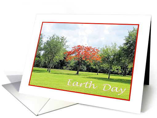 Earth Day, Flame Tree in the Park card (848112)