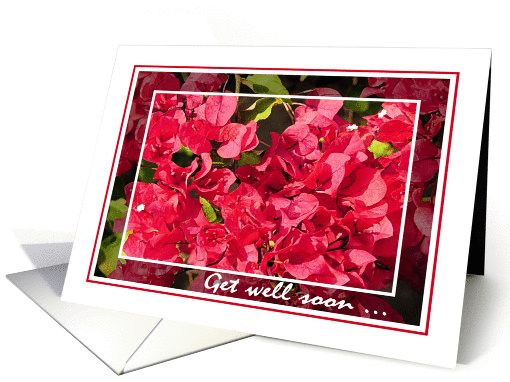 Get Well, Red Bougainvilleas card (852990)