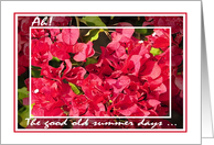 Good Old Summer Days, Red Bougainvilleas card