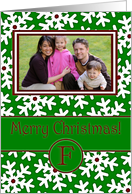 Merry Christmas Photo Card Family Name F, Snow Crystals card