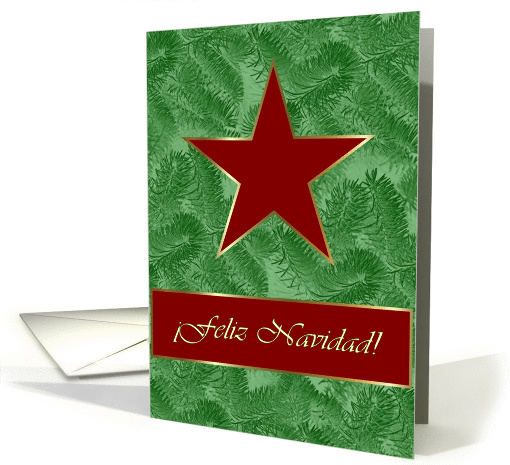 Spanish Christmas, Red Star on Spruce Sprigs card (982835)