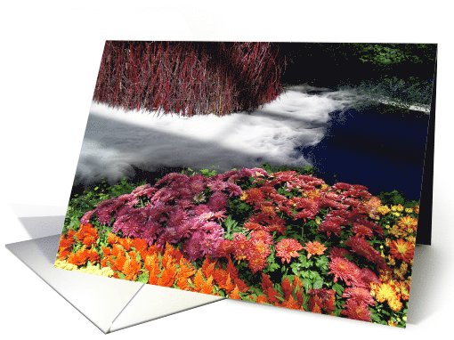 Misty Water card (430851)