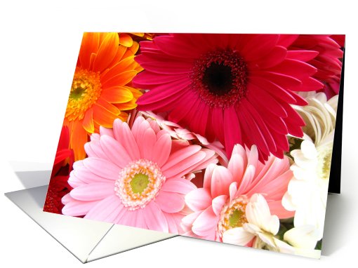 Mixed Gerberas card (431681)
