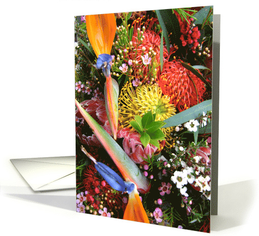 Bird of Paradise & Pincushions card (431684)