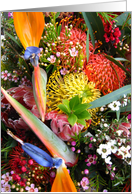 Bird of Paradise & Pincushions card