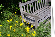 Yellow Flowers by the Bench card