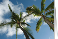 Beach Chair View card