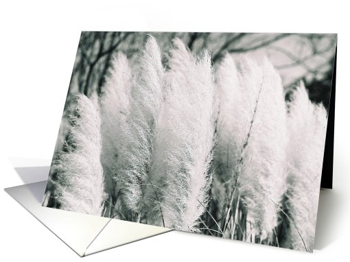 Breezy Day card (432649)