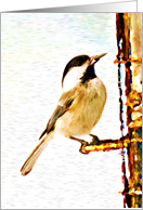 Feeding time card