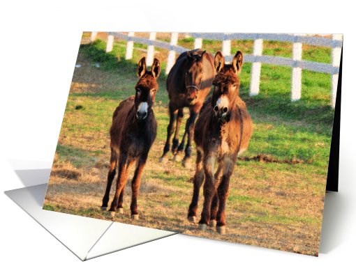 You Looking at me? card (433851)