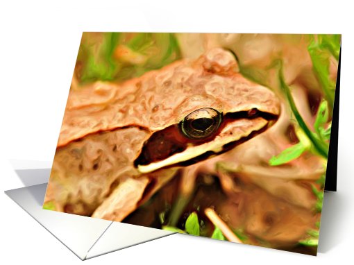 Wood Frog card (433856)