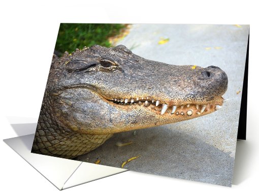 alligator card (436359)