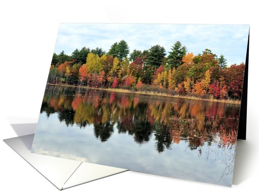 Fall in New Hampshire card (444456)