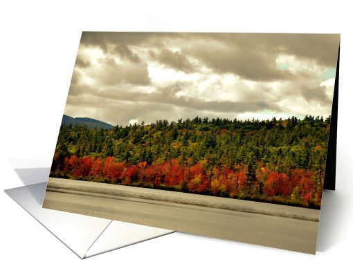 Fall in New Hampshire card (444457)