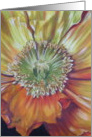 Sunburst card