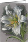 Arise card