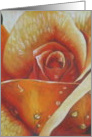 Glimmer card