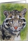 Clouded Leopard card
