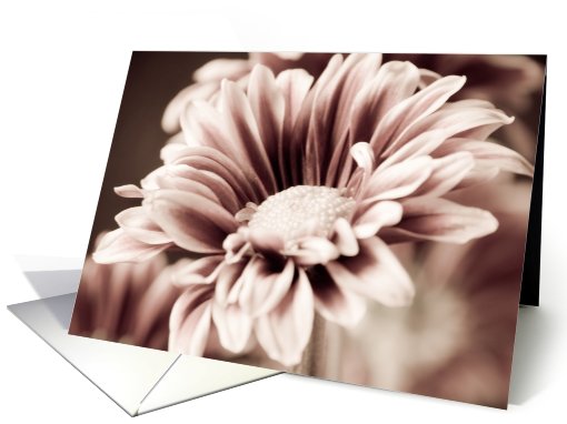 Elegant Pink Flower - Blank Inside card (438577)