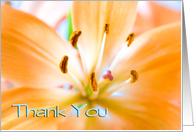 Thank You - Orange Lily card