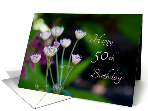 Happy 50th Birthday - Tiny Flowers card (443861)