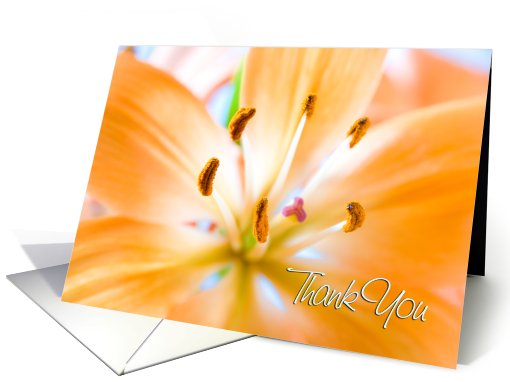 Hospitality Thank You Card - Orange Lily card (445876)
