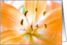 Hospitality Thank You Card - Orange Lily card