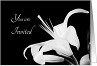 Invitation - Black and White Lily card