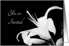 Invitation - Black and White Lily card