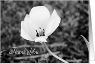 Thank You Bridal Shower Hostess - Black and White Flower card