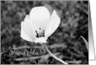 Thank You Bridal Shower Hostess - Black and White Flower card