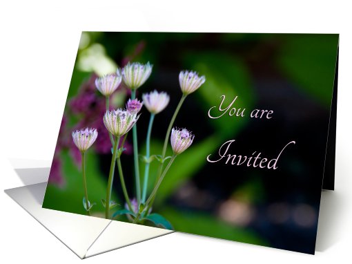 Invitation - Tiny Purple Flowers card (447222)