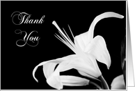 Bridesmaid Thank you - Black and White Lily card