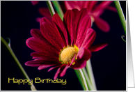 Employee Happy Birthday - Red Flower card