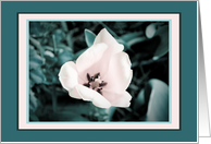 Pink flower Blank Card