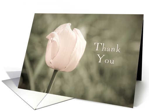 Pink Tulip Bridal Shower Thank You card (451606)