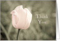 Pink Tulip Bridal Shower Thank You Card