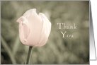 Pink Tulip Bridal Shower Thank You Card