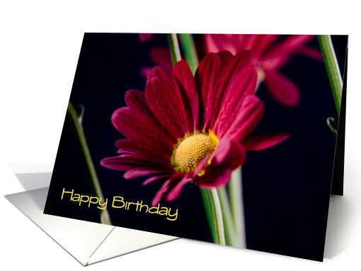 Red flower Happy Birthday from all of us card (459894)