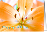 Orange Lily Employee Birthday card