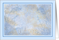 butterfly thank you card