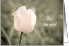Pink Tulip Just Married announcement Card