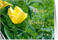 Yellow Flower Employee birthday card