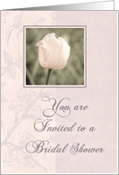 Pink Tulip Bridal Shower Invitation Card