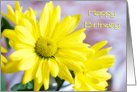 Yellow flower Employee Birthday card