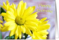 Yellow Flowers happy Birthday from all of us Card