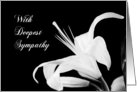 Black and White Lily Sympathy Card