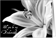 Black and White Lily Will you be my Bridesmaid Card